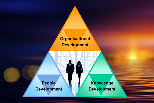 performance leadership system model illustration